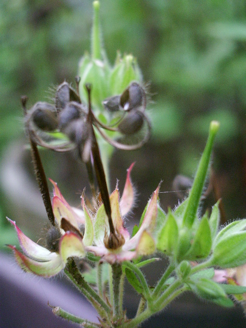 e0025300_16131113.jpg