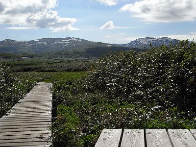 f0157901_23154410.jpg