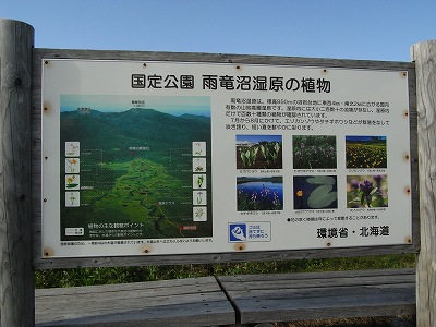 f0157901_23165970.jpg