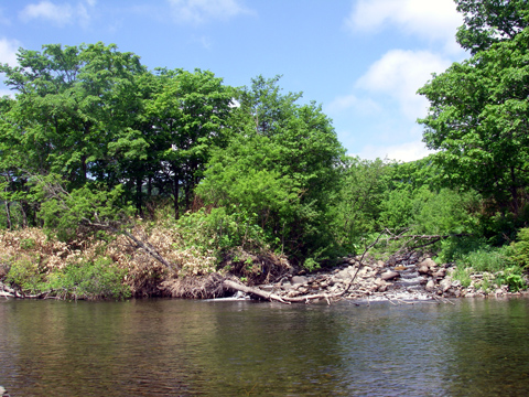 d0051707_16142264.jpg