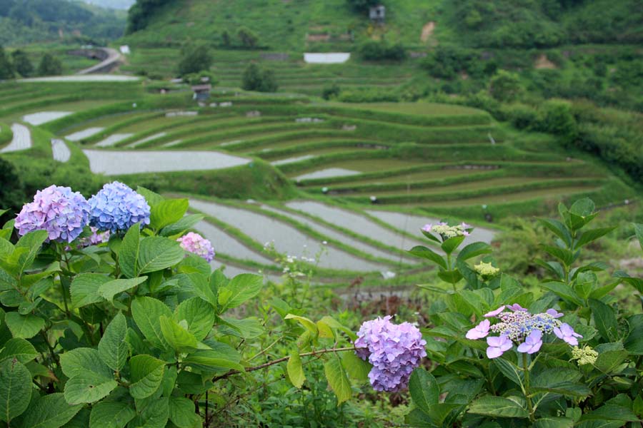 d0085715_23483485.jpg