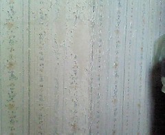 c0145016_21424653.jpg