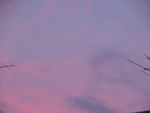d0002224_21213498.gif
