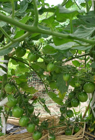 f0150629_23184179.jpg