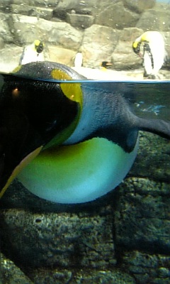 c0154630_26535.jpg