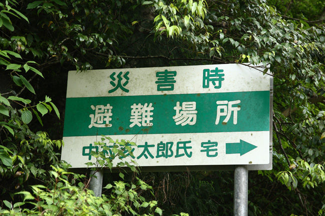 d0147530_6342534.jpg