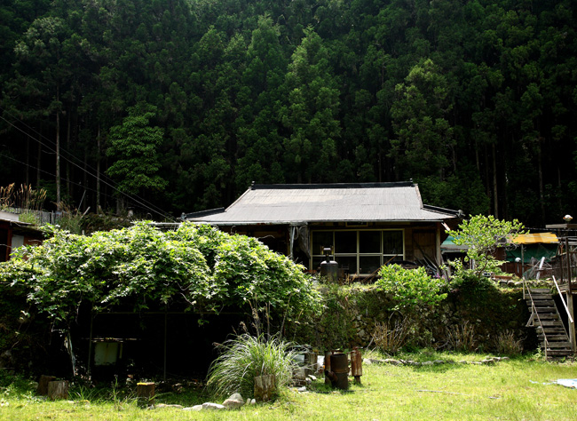 d0147530_634831.jpg