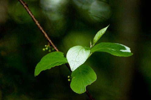 e0025030_1644183.jpg
