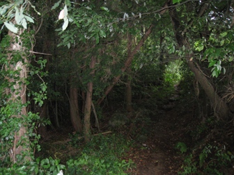 c0077338_19203579.jpg