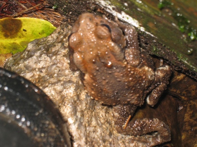 c0077338_19205459.jpg
