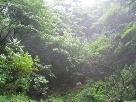 c0077338_1921546.jpg