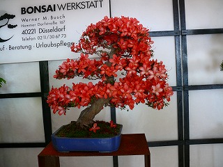 c0153740_2562421.jpg