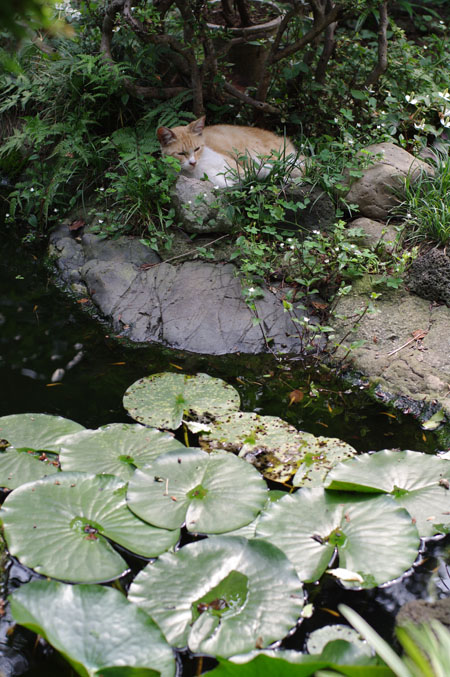 f0149442_184264.jpg