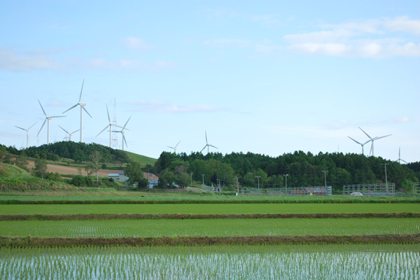 f0166545_23112415.jpg