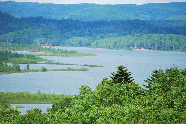 f0166545_2363532.jpg