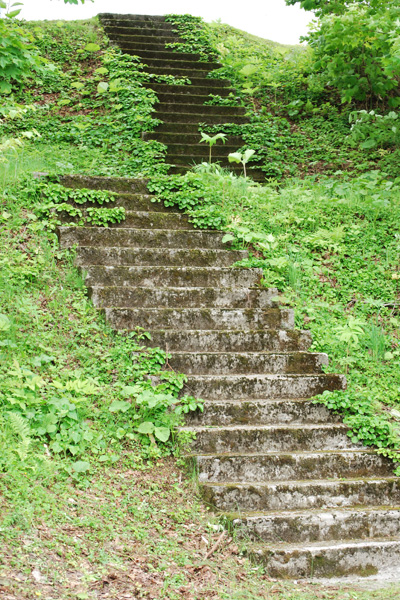 f0166545_2373762.jpg