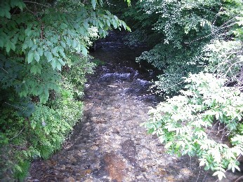 b0140347_2250720.jpg