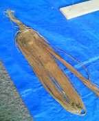 c0047449_18535288.jpg