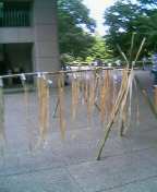 c0047449_19205629.jpg