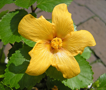 a0001354_23172210.jpg