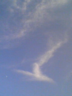 c0052756_1394633.jpg