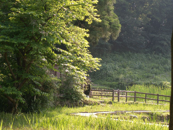 c0122670_056781.jpg