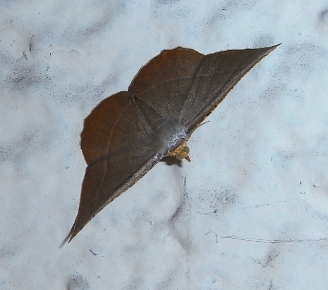 b0070071_9402779.jpg