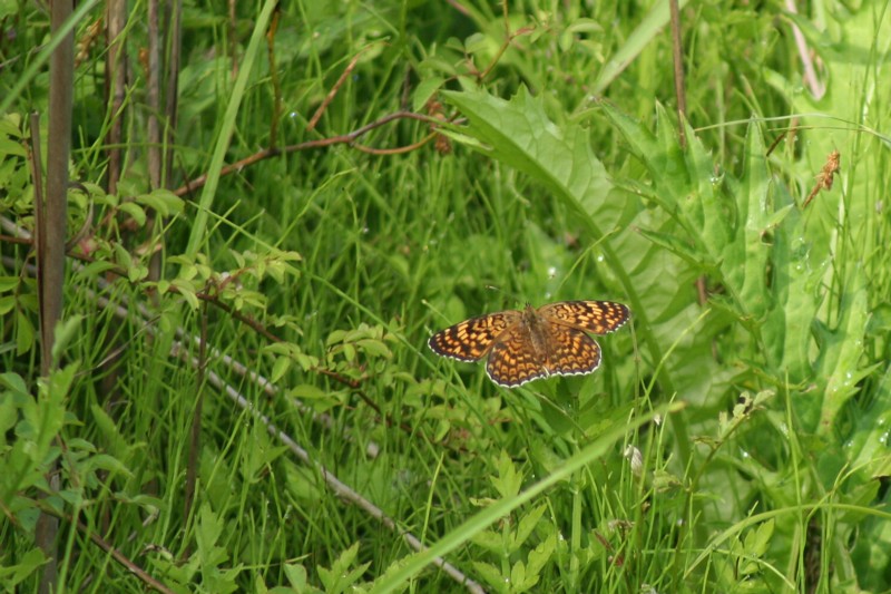 b0088772_1624334.jpg