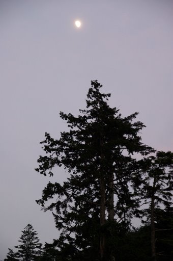 f0054075_216228.jpg