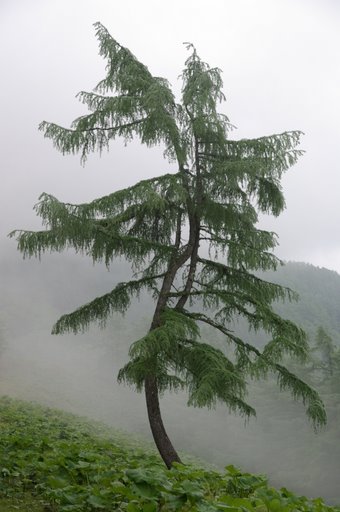 f0054075_22162853.jpg