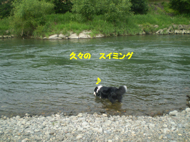e0117976_22343250.jpg