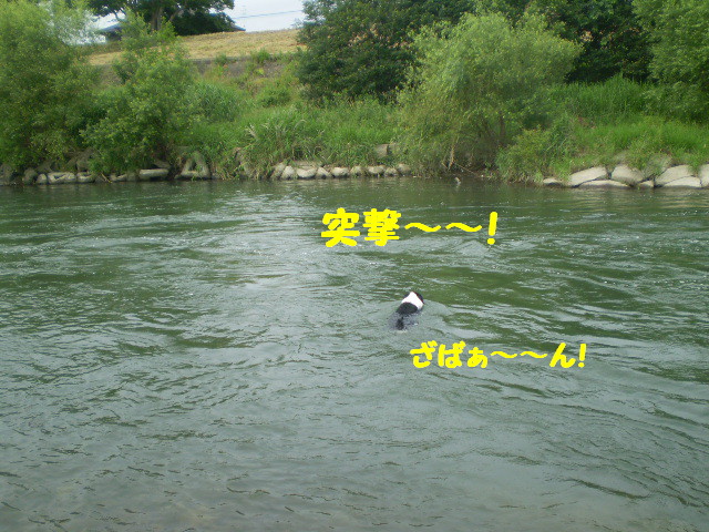 e0117976_22352667.jpg