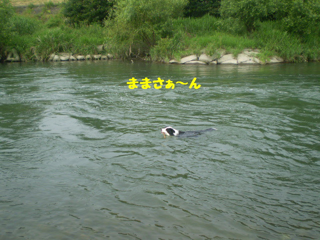 e0117976_22355285.jpg