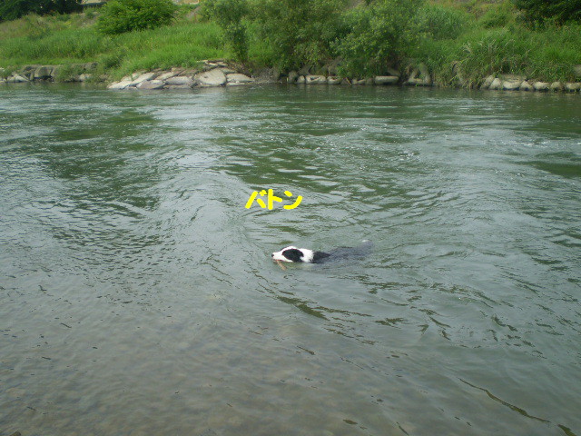 e0117976_22361948.jpg