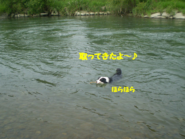 e0117976_22363469.jpg