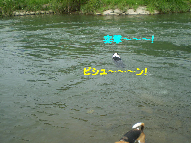 e0117976_22384296.jpg