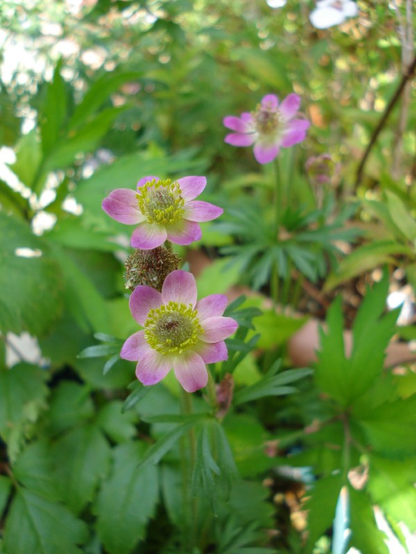 f0165677_14372691.jpg