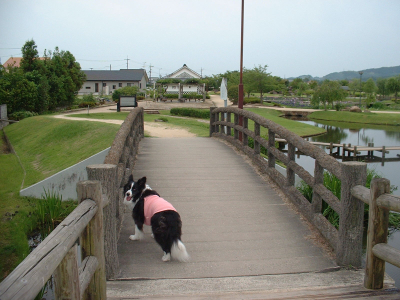 c0120585_1859911.jpg
