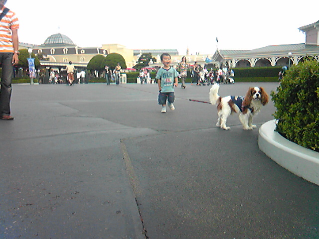 d0044986_22211198.jpg