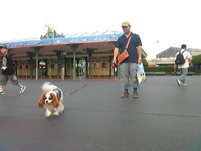 d0044986_2227296.jpg