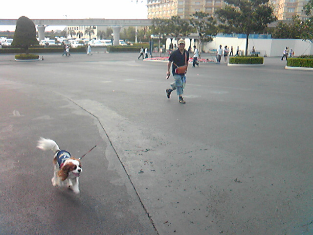 d0044986_22283625.jpg