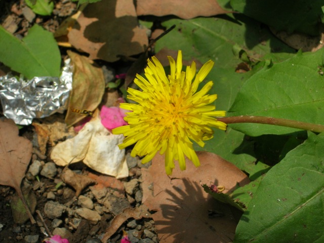 a0045688_2264252.jpg