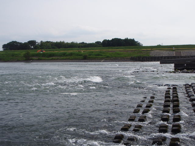 b0139489_19515664.jpg