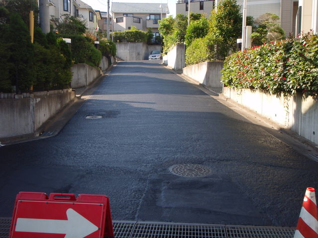 b0139489_1983820.jpg