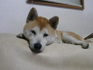 c0123890_22925100.jpg