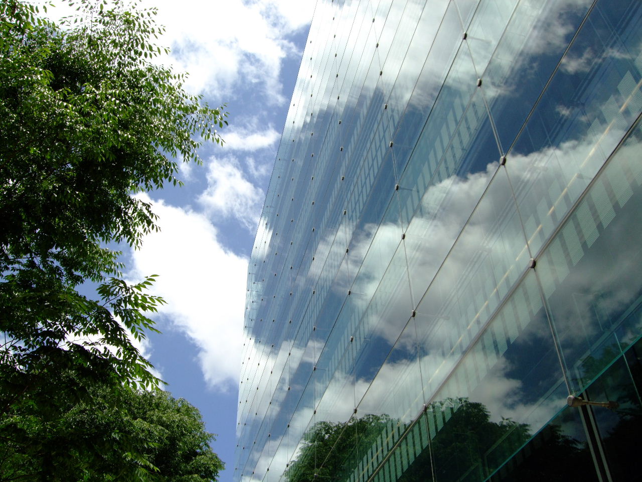 f0100593_15292461.jpg