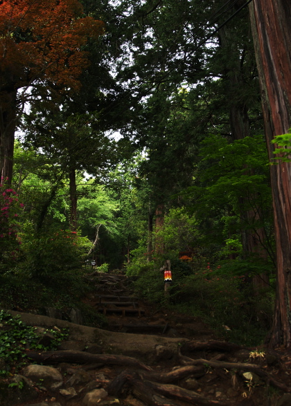 e0089001_22473915.jpg