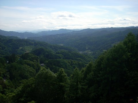 b0000209_21574011.jpg