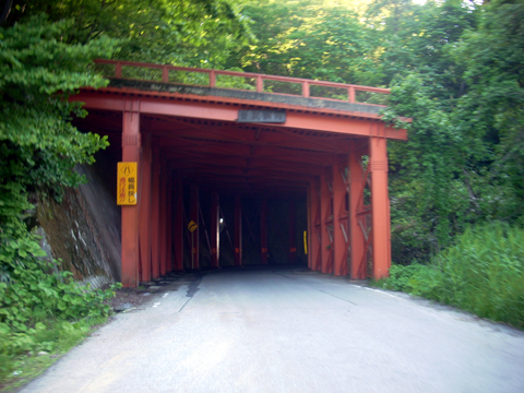 b0000209_2275478.jpg