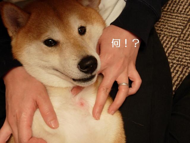 e0005411_13355114.jpg